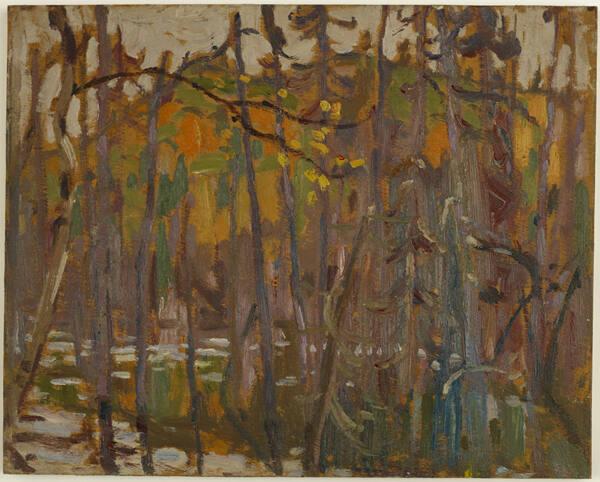 Beaver Pond In Autumn