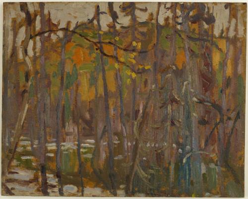 Beaver Pond In Autumn