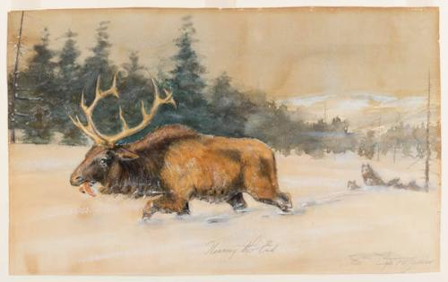 Photo Credit: Toni Hafkenscheid