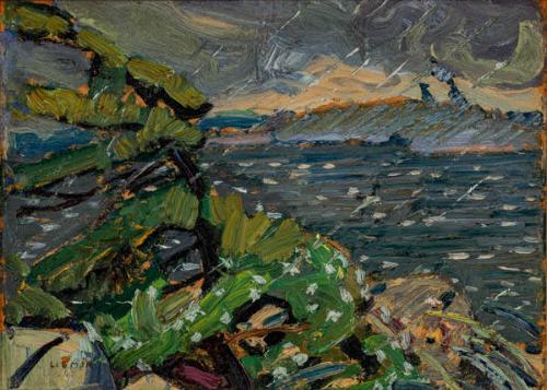 Photo Credit: Toni Hafkenscheid