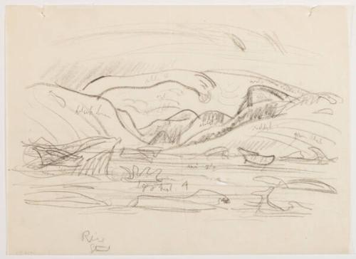 Photo Credit: Toni Hafkenscheid