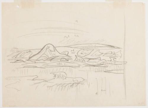 Photo Credit: Toni Hafkenscheid