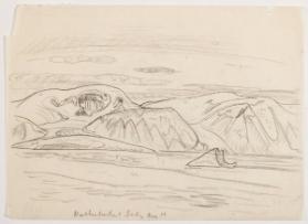 Photo Credit: Toni Hafkenscheid