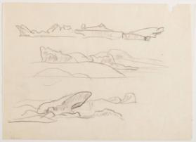 Photo Credit: Toni Hafkenscheid