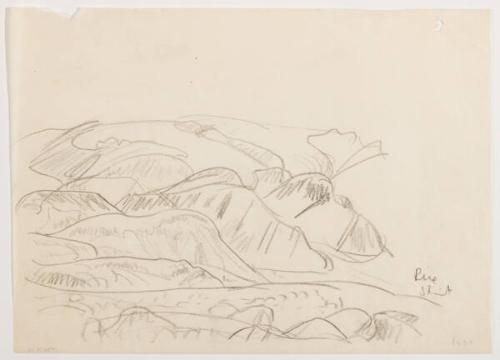 Photo Credit: Toni Hafkenscheid