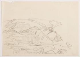 Photo Credit: Toni Hafkenscheid