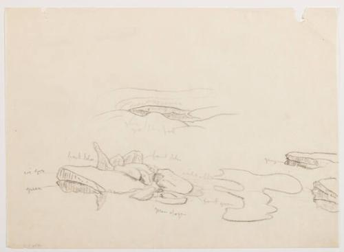 Photo Credit: Toni Hafkenscheid