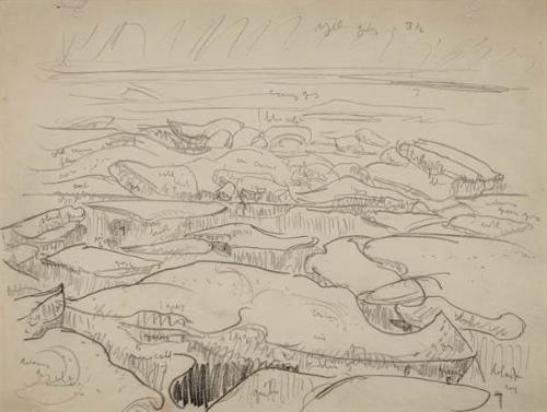 Photo Credit: Toni Hafkenscheid