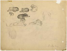 Husky Dogs (R); Ice Austin Channel (V)