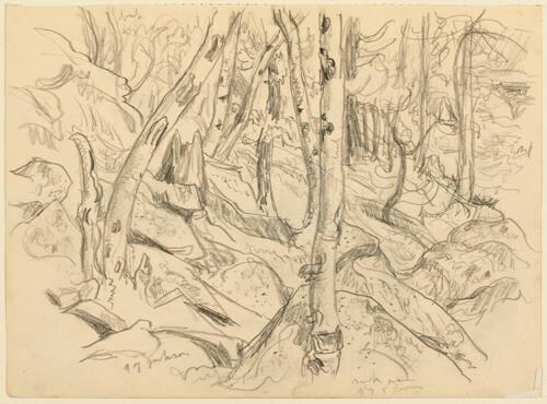 Untitled (trees, rocks) (R); Untitled (rough sketch - landscape) (V)
