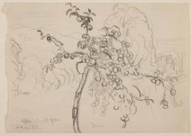 Photo Credit: Toni Hafkenscheid