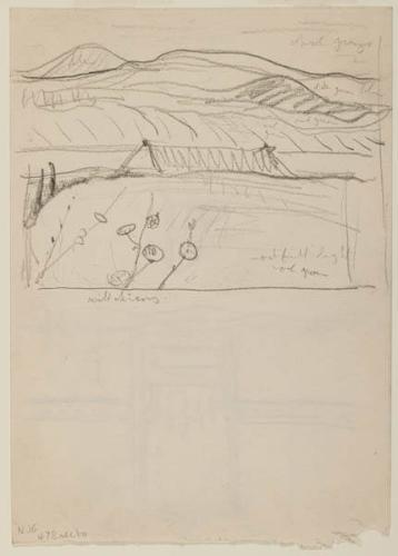 Photo Credit: Toni Hafkenscheid