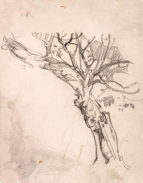 Photo: Alexandra Cousins