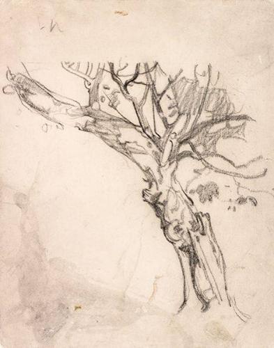 Photo: Alexandra Cousins