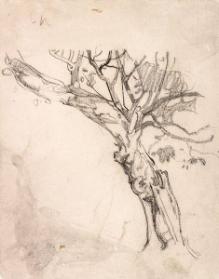 Photo: Alexandra Cousins