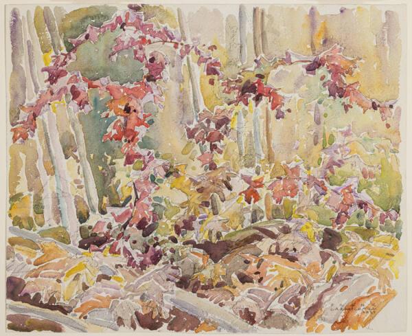 Photo Credit: Toni Hafkenscheid