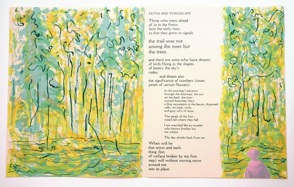 Paths and Thingscape