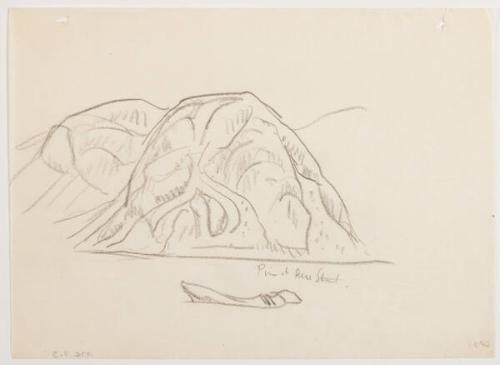 Photo Credit: Toni Hafkenscheid