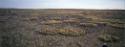 Patches of vegetation nourished by years of organic waste. 
Nurata, Southwest Baffin Island, N…