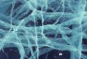 Pressure cracks in the sea ice. 
Pudla Inlet, Southwest Baffin Island, Nunavut, 1990

The No…