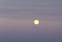 ARC-NH2009.F20.1.16