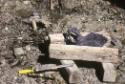 Old camp of Osuitok showing a sculpture in progress and carving tools. 
Near marble site at It…