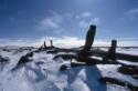 Nalunaikkutaq (single upright rock to give direction or meaning) at Itilliarjuk and Sarqoq. 
S…