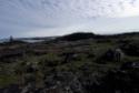 Inuksuit at Inuksugalait, an ancient site consisting of over one hundred inuksuit. 
Enukso Poi…